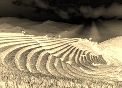 Sepia + Negatyw