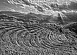 Skamielina