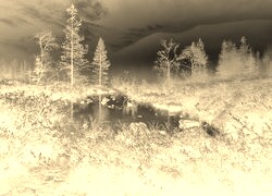 Sepia + Negatyw