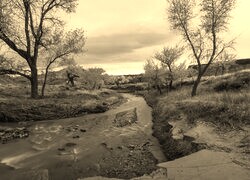 Szary + Sepia