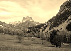 Szary + Sepia