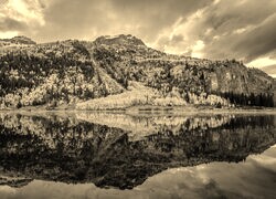 Szary + Sepia