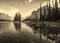 Szary + Sepia