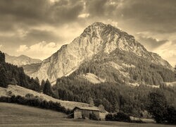 Szary + Sepia