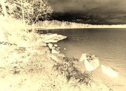 Sepia + Negatyw