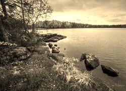 Szary + Sepia