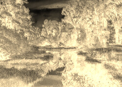 Sepia + Negatyw