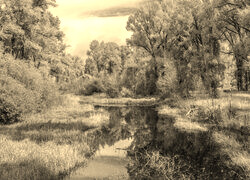 Sepia