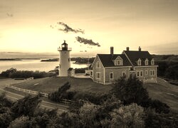 Szary + Sepia