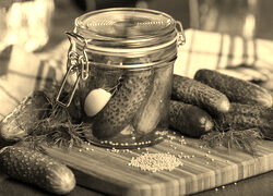 Szary + Sepia