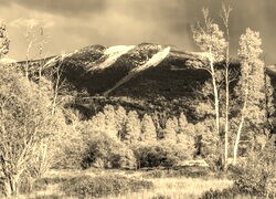 Sepia