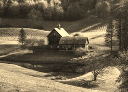 Szary + Sepia