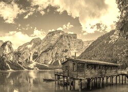 Szary + Sepia