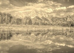 Szary + Sepia