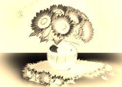 Sepia + Negatyw