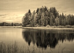 Szary + Sepia