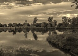 Sepia