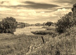 Szary + Sepia