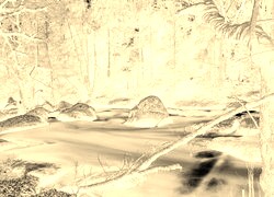 Sepia + Negatyw