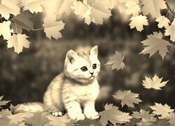 Szary + Sepia