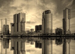 Szary + Sepia