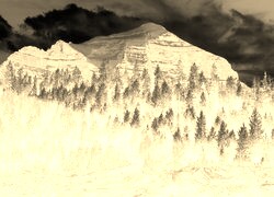 Sepia + Negatyw