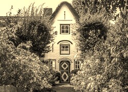 Sepia