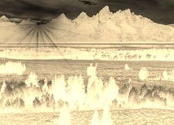 Sepia + Negatyw