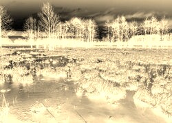 Sepia + Negatyw