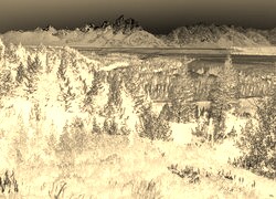 Sepia + Negatyw