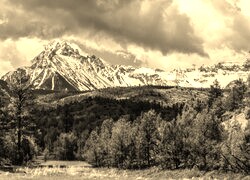 Sepia