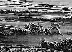 Skamielina