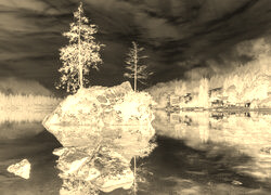 Sepia + Negatyw