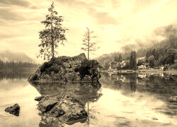 Szary + Sepia