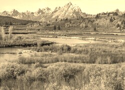 Szary + Sepia