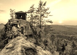 Szary + Sepia