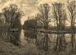 Szary + Sepia