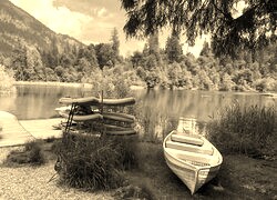 Szary + Sepia