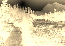 Sepia + Negatyw