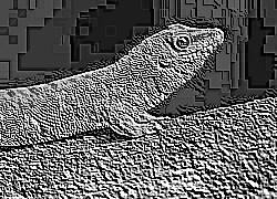 Skamielina
