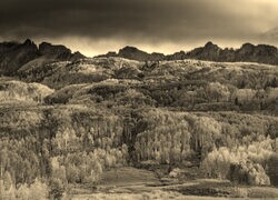 Szary + Sepia
