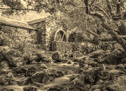 Sepia