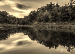 Sepia