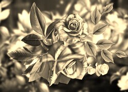 Szary + Sepia
