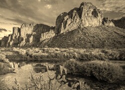 Szary + Sepia