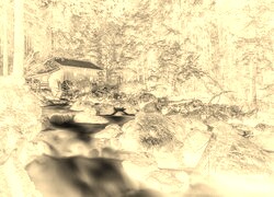Sepia + Negatyw