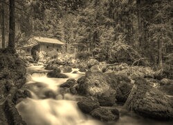 Sepia
