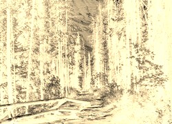 Sepia + Negatyw