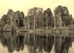 Szary + Sepia