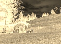 Sepia + Negatyw